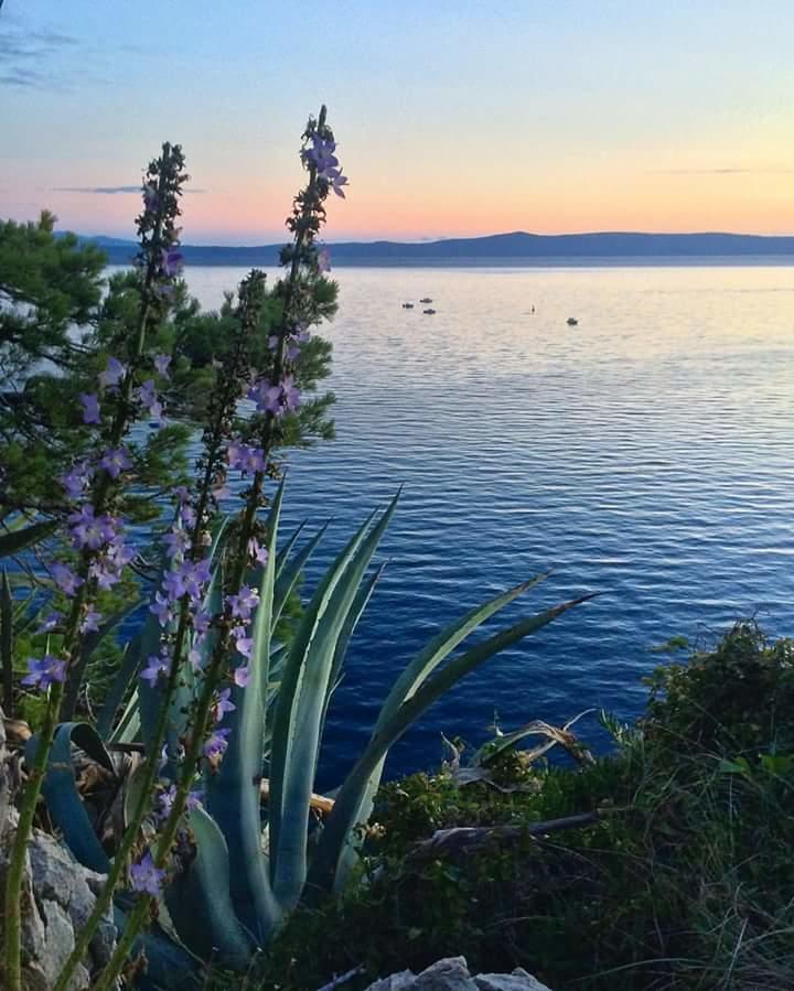 Sea View Ela Apartments Podgora Exteriér fotografie